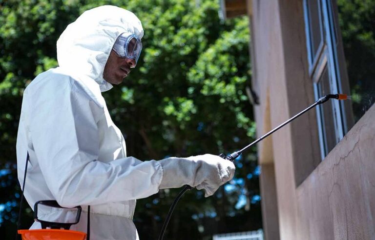 Pest Control for Outdoor Markets and Food Stalls